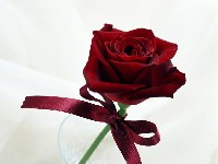 фото букет роз