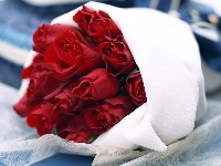 алой розы;rose hips;hoa hồng nhung;mawar valentine;ลายดอกกุหลาบ