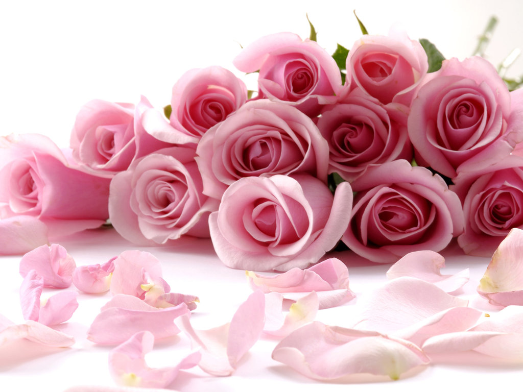 http://exclusiveflowers.ru/roses/rose_104.jpg